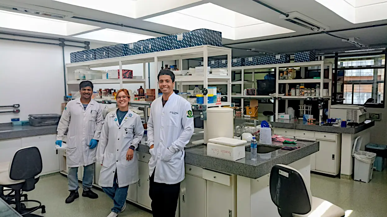 Graduação em Medicina — Faculdade de Medicina da UnB